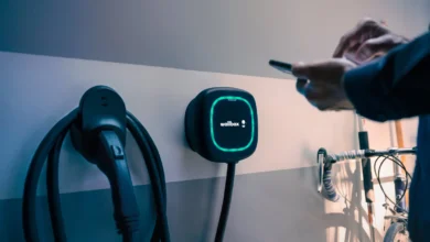 ᐅ Precio Wallbox 2025: Comparativa de los Mejores Cargadores 62 precio wallbox